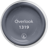 Overlook - 1319