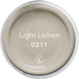 0211 Light Lichen