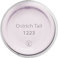 Ostrich Tail
