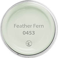 Feather Fern