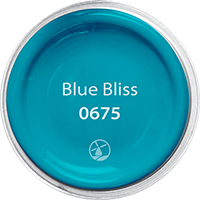 Blue Bliss - Color ID 0675