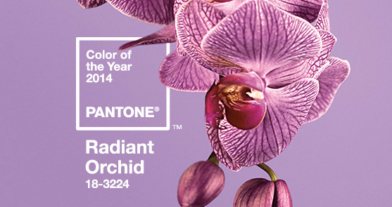 2014 Pantone Color of the Year