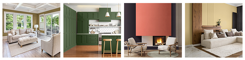 2024 Color Trends