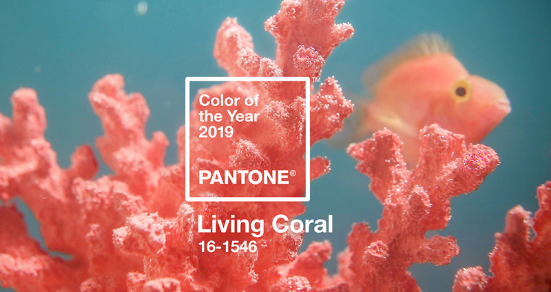 Living Coral