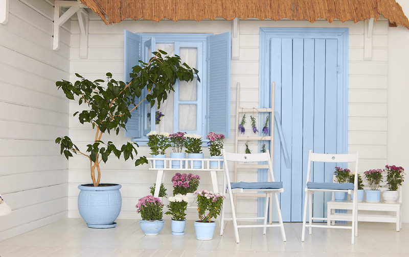 House Exterior with white base, and modern blue accents