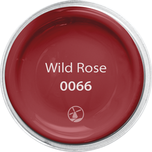 Wild Rose