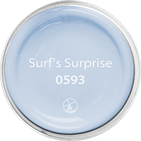0593 Surf's Surprise