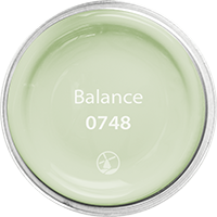 0748 Balance