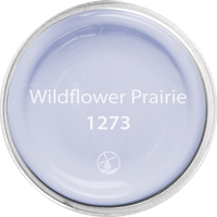 Wildflower Prairie 1273