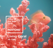 2019 Pantone Color of the Year